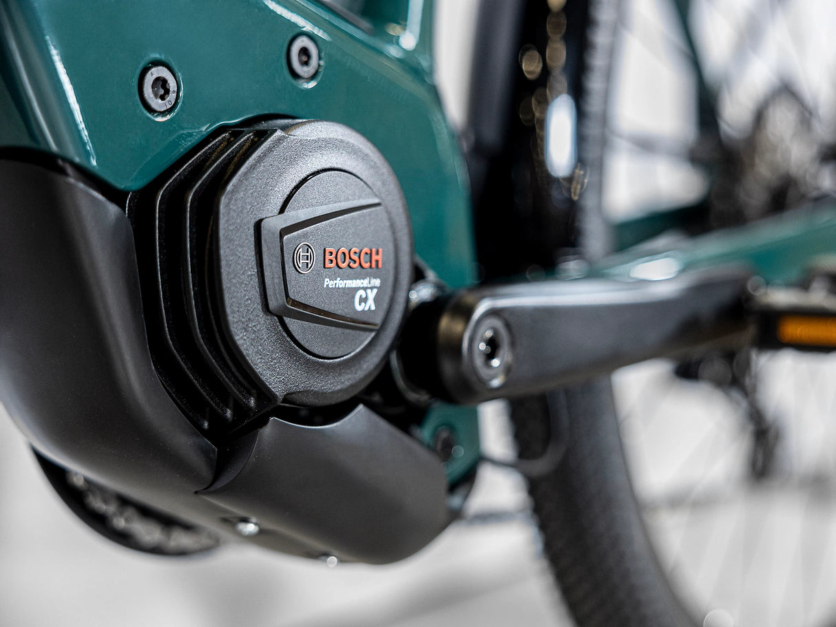 Allant+ 6 Tiefeinsteiger Juniper 725Wh