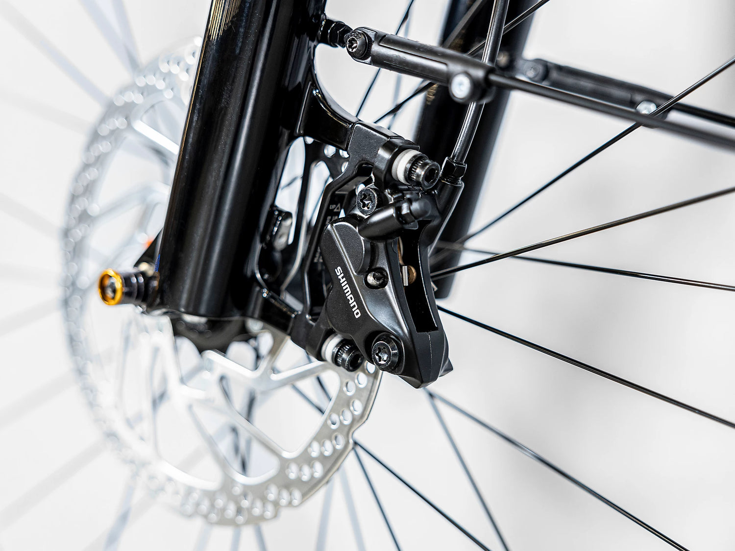 Allant+ 6 Tiefeinsteiger Juniper 725Wh