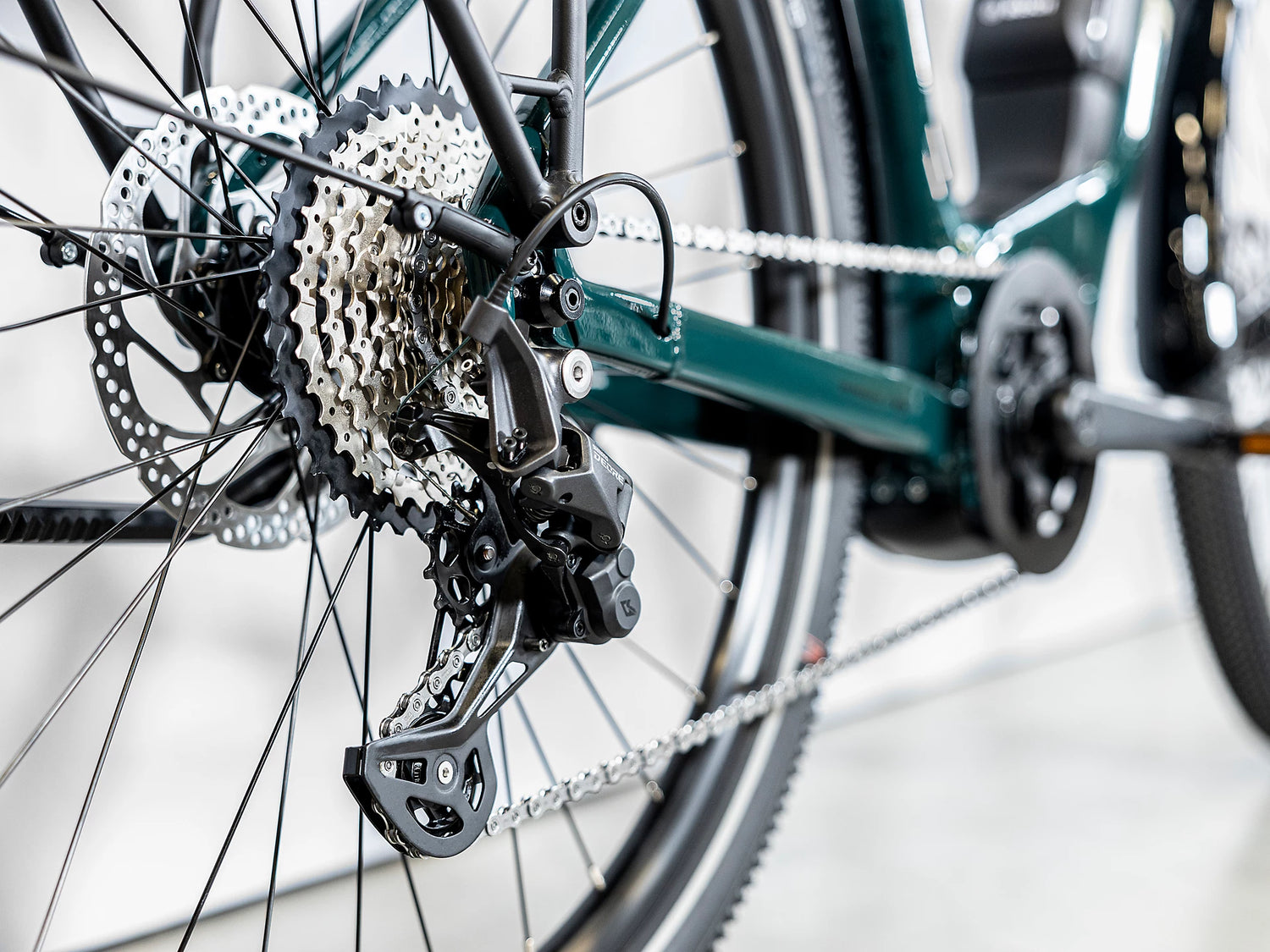 Allant+ 6 Tiefeinsteiger Juniper 545Wh