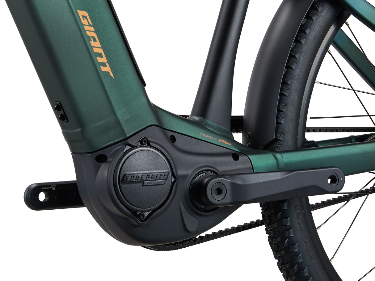 AnyTour X E+ 0 - Kelp Forest