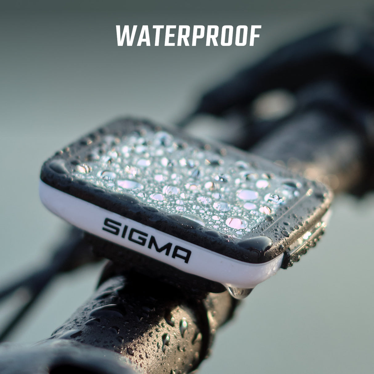 BC 10.0 WR - kabelgebunden