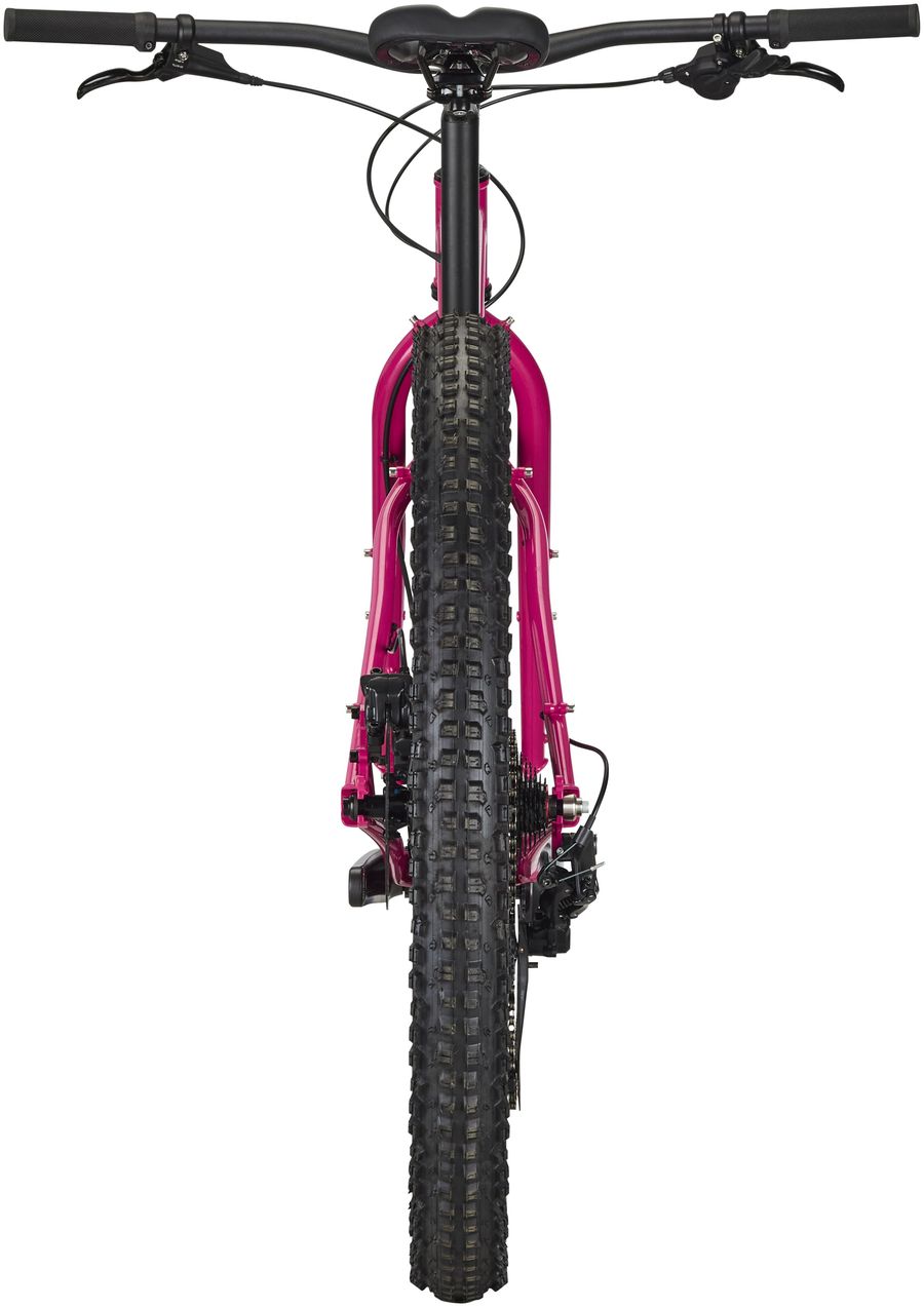 Krampus 29+ - Prickly Pear