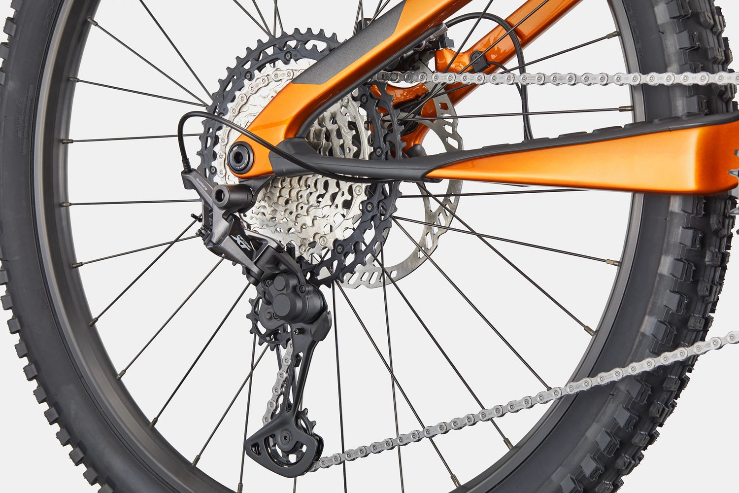 Moterra SL 2, 600 Wh - Tiger Eye