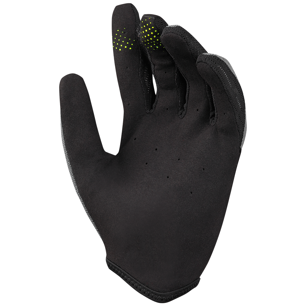 Carve Handschuhe graphite