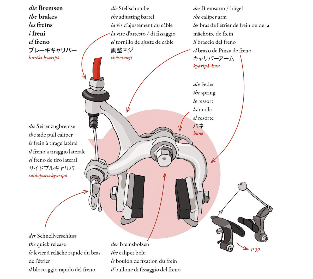 Wörterbuch - Das Fahrrad