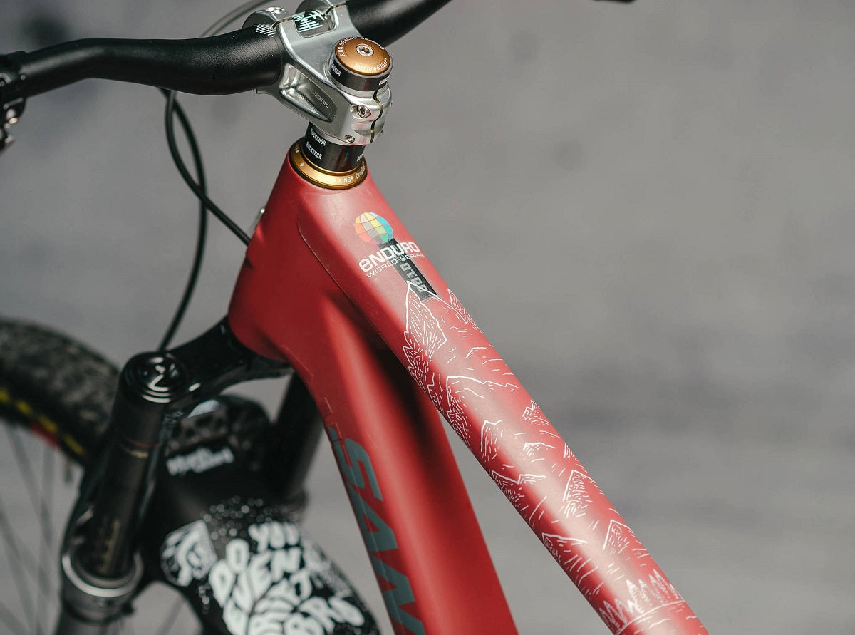 Rahmenschutz Kit - EWS Mountains - White Matte