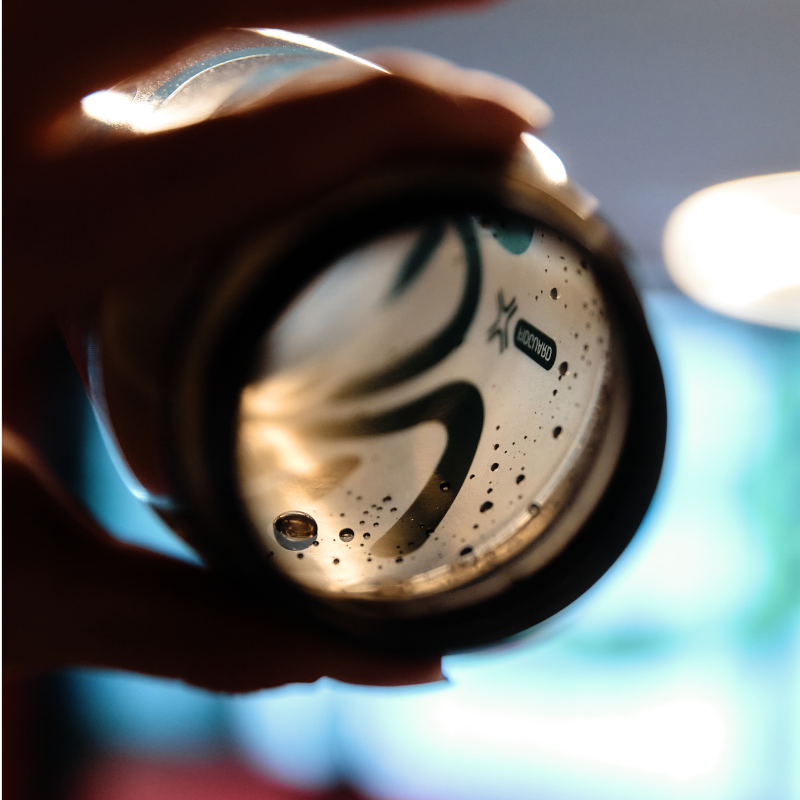 FIDGUARD BOTTLE 600 antibacterial - black/green