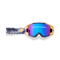 MTB Vue Goggle - Goldstone Limited Edition - Purple