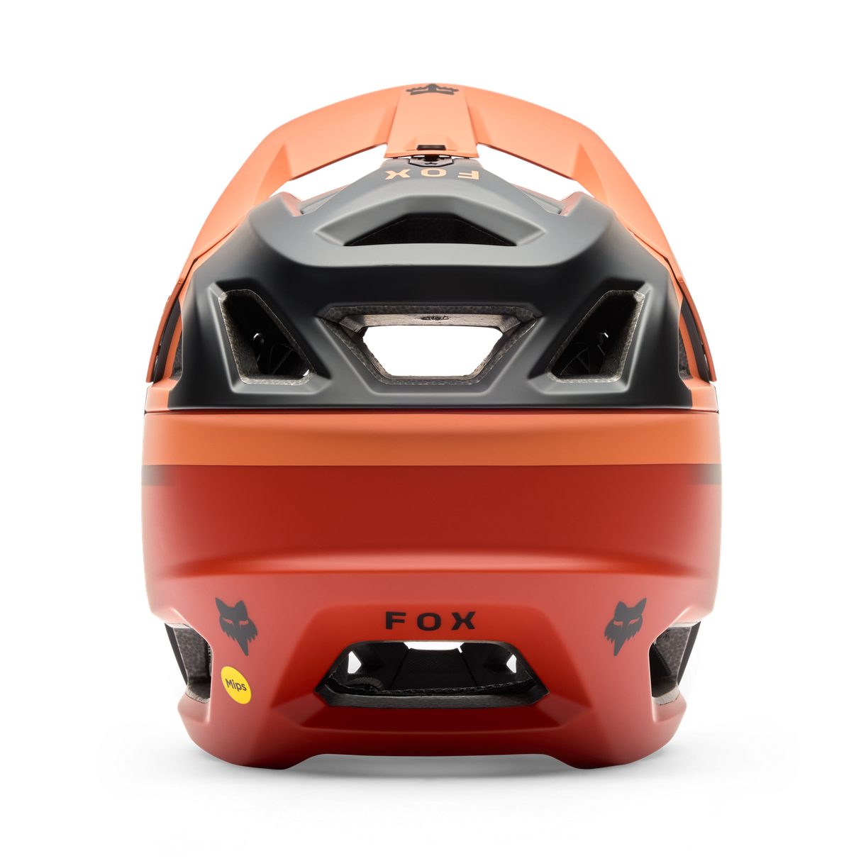Proframe Rizer Fullface Helm, CE - Coral