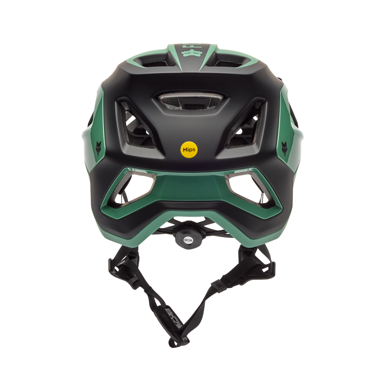 Speedframe Pro Defy Helm CE - Pine