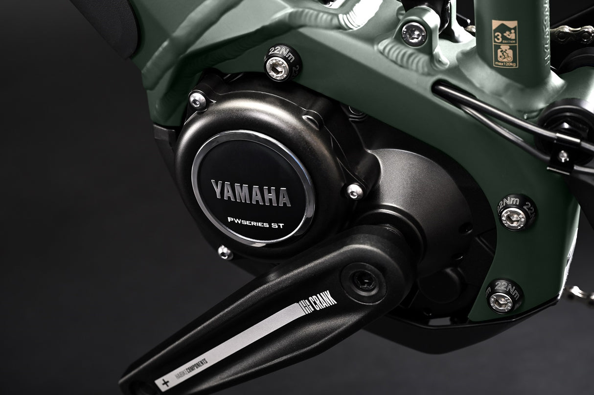 ALLTRAIL 4 MTB Fully - Matte Green Metal Gld Black 29 Zoll