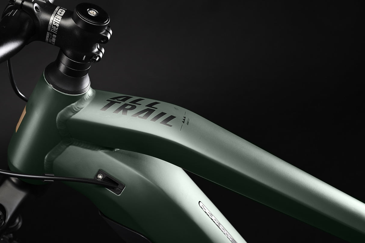 ALLTRAIL 4 MTB Fully - Matte Green Metal Gld Black 29 Zoll