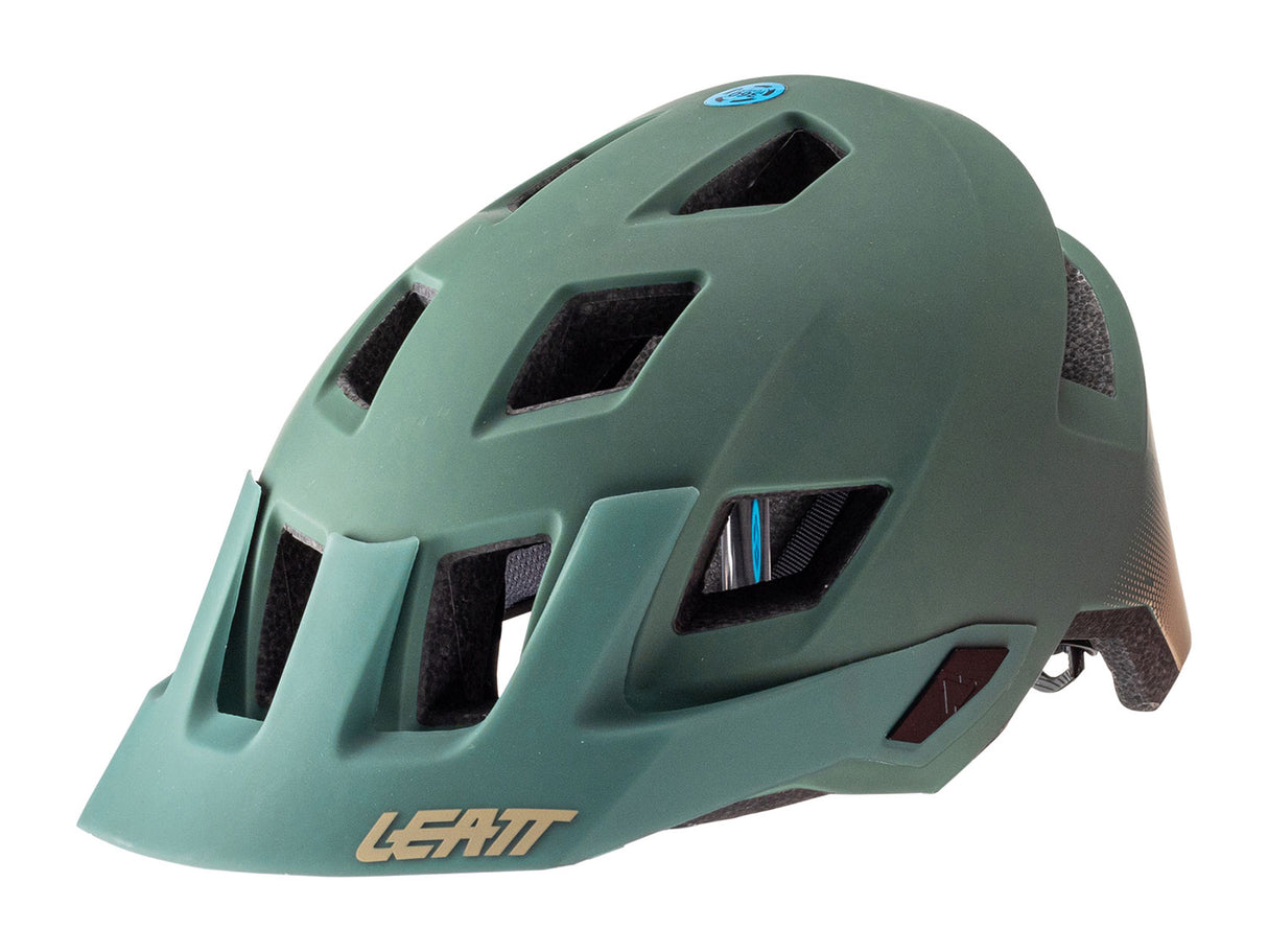 Helmet MTB All Mountain 1.0 Ivy