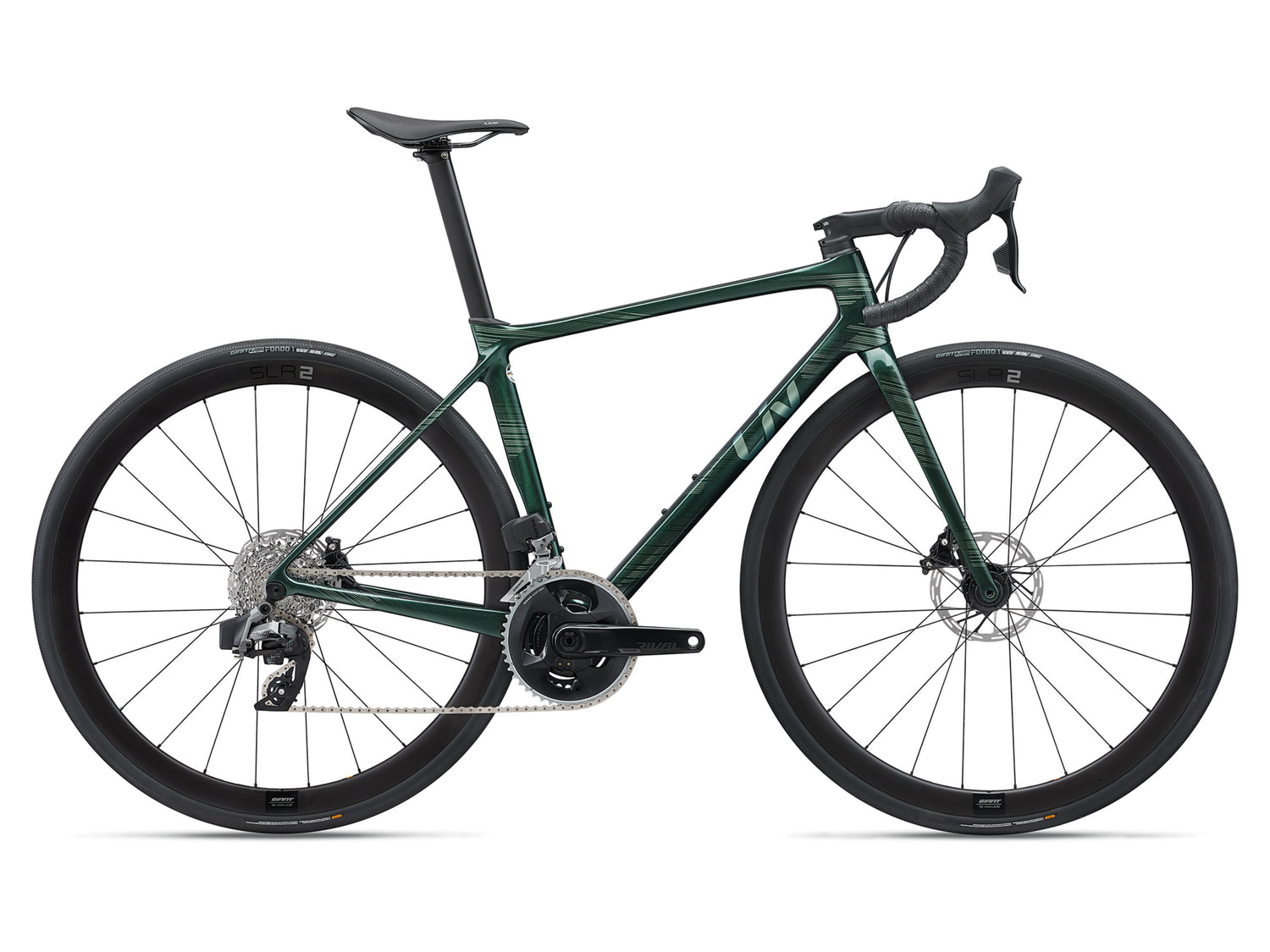 Langma Advanced Pro 1 - Kelp Forest