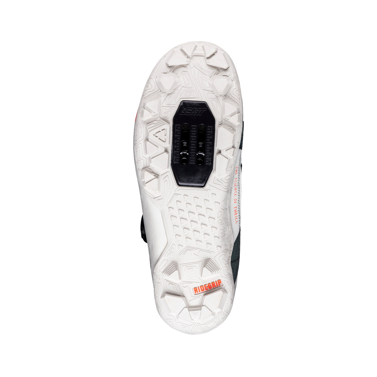 Shoe ProClip 8.0 Endurance - Mist Green