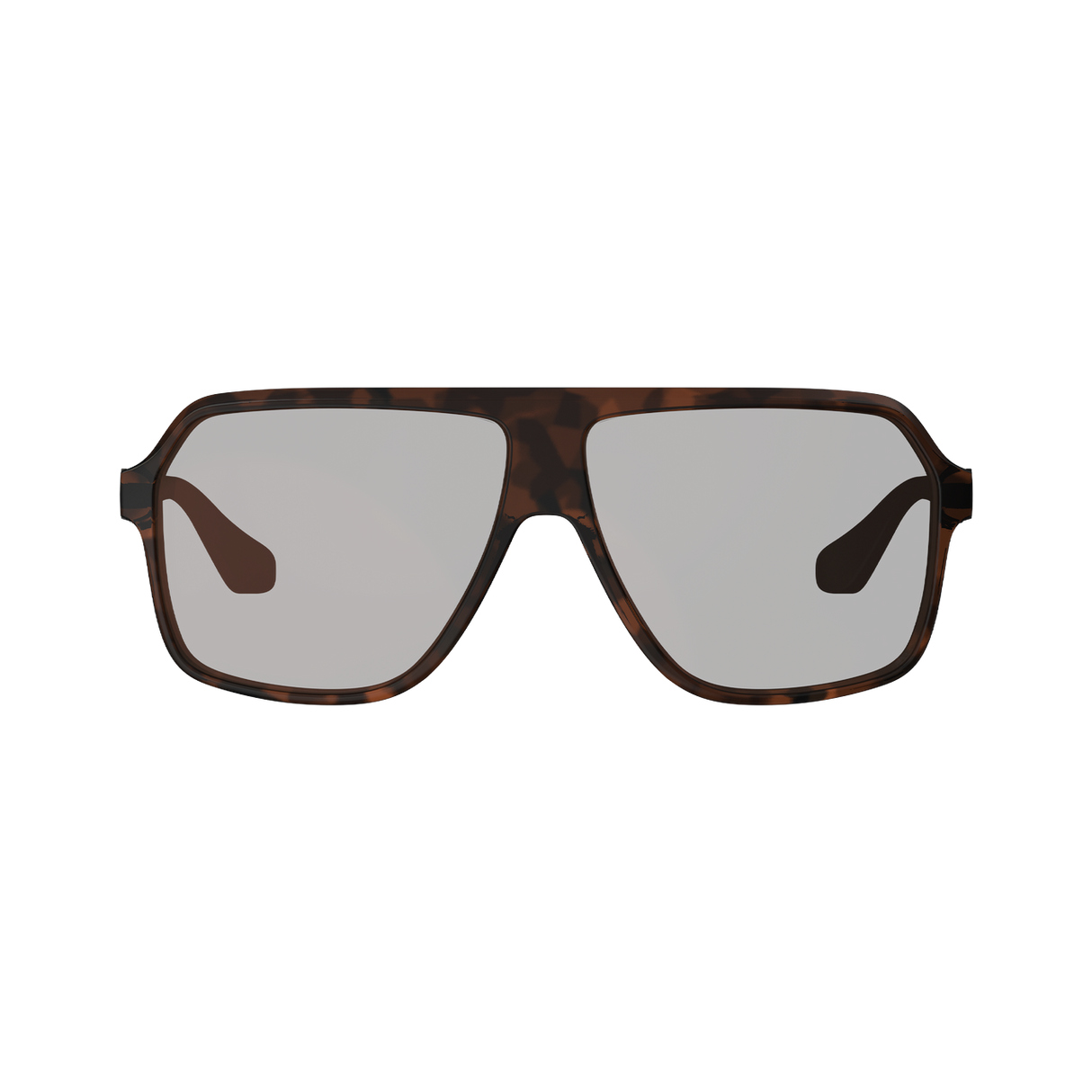 Sunglasses TheViz Andes - Brown Polarized Silver 34 VLT