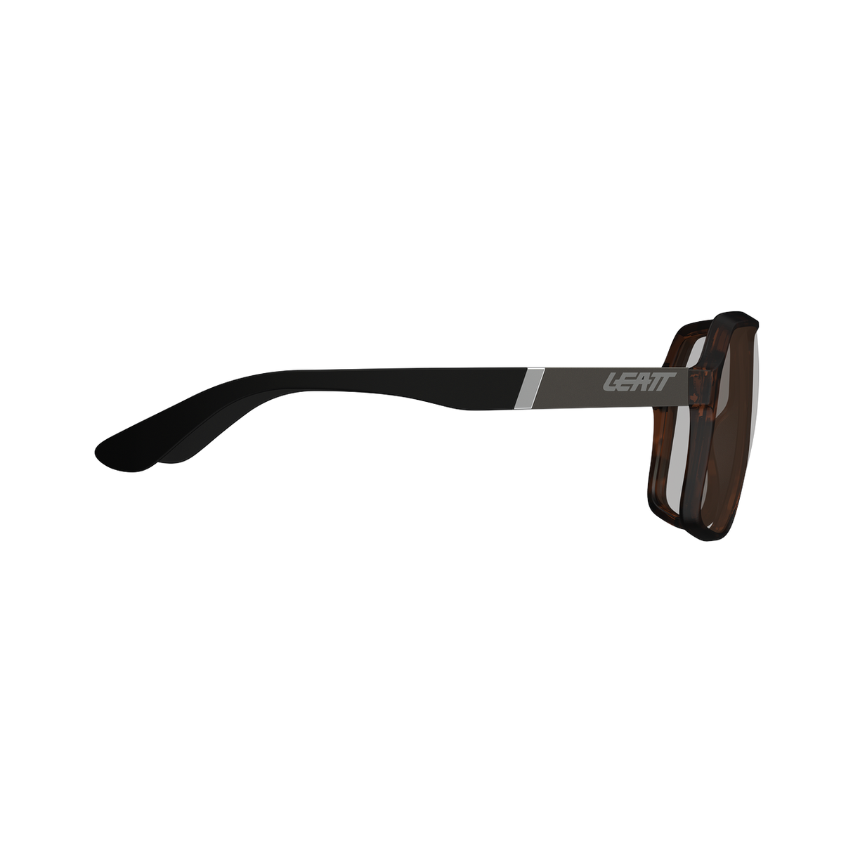 Sunglasses TheViz Andes - Brown Polarized Silver 34 VLT