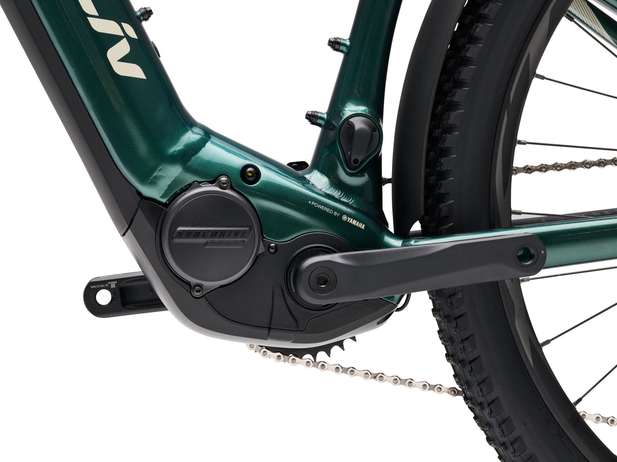 Lurra E+ 1 EX - Kelp Forest