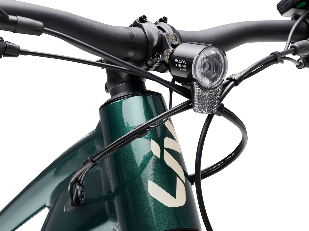 Lurra E+ 1 EX - Kelp Forest