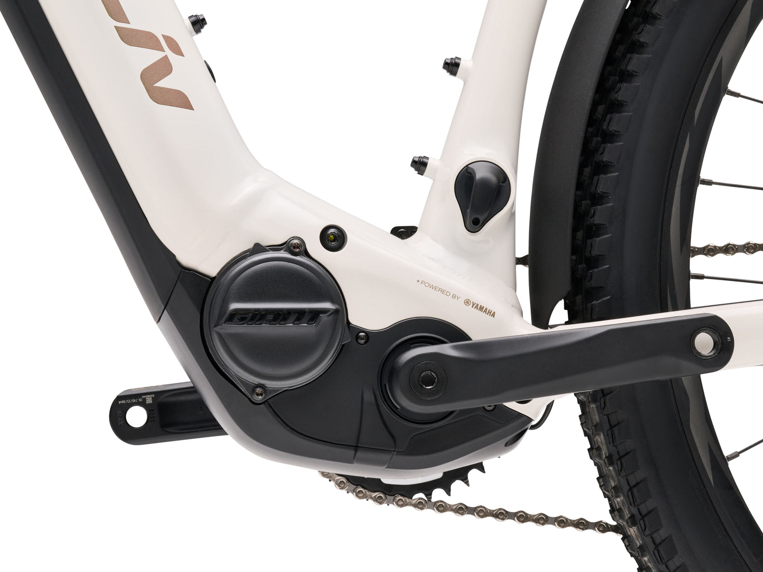 Lurra E+ 2 EX - Mushroom