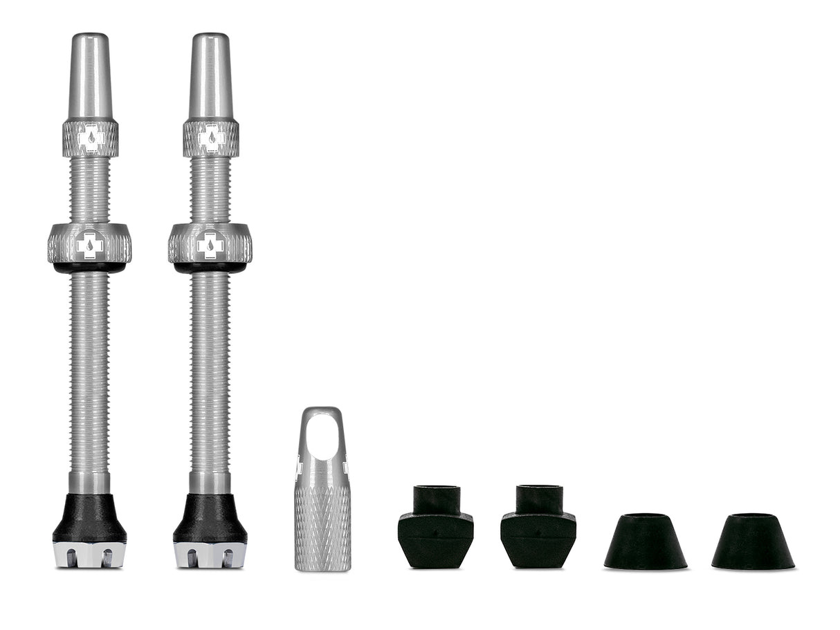 Ventile V2 für Tubeless Reifen - silber - MTB & Road