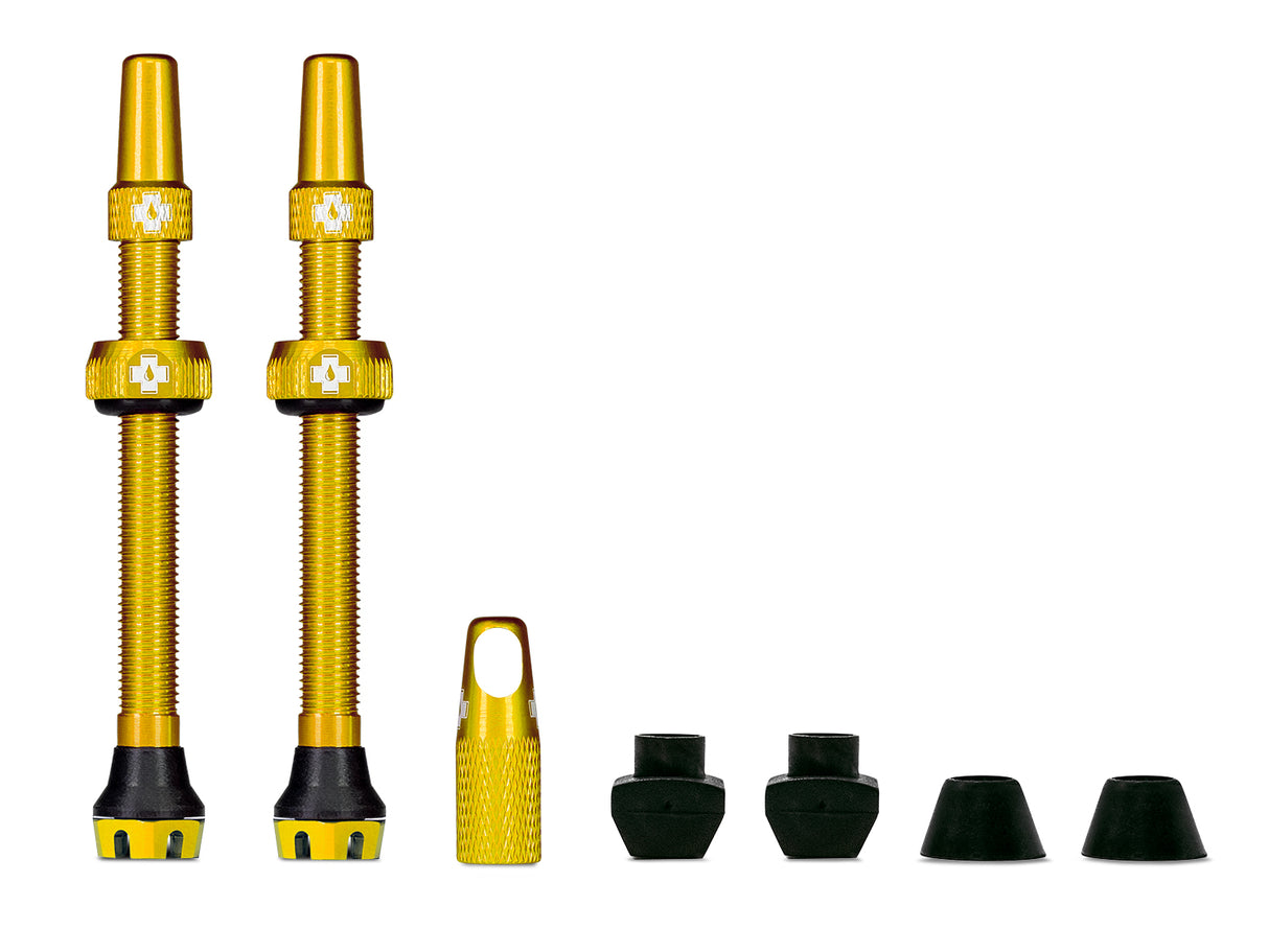 Ventile V2 für Tubeless Reifen - gold - MTB & Road