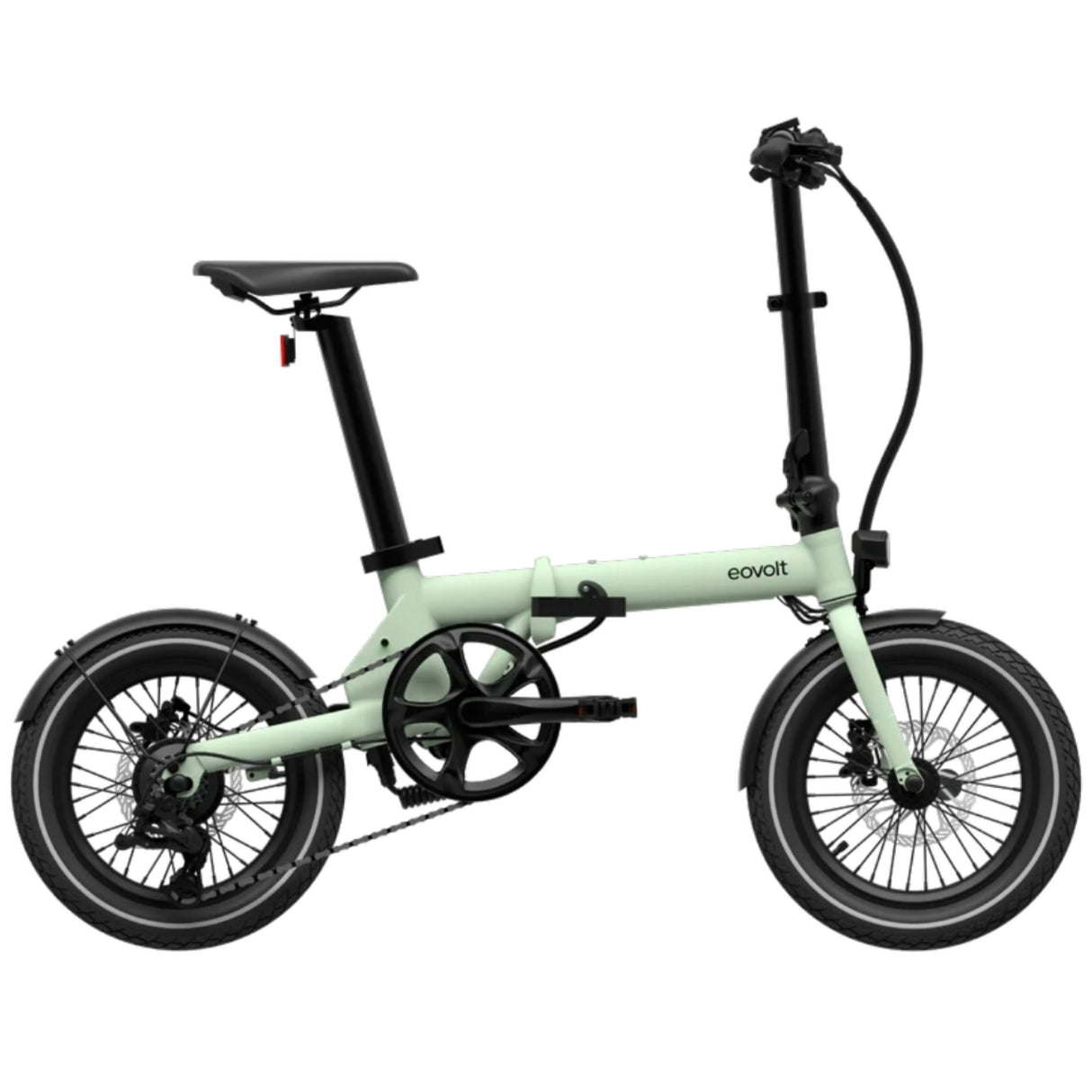 Morning V2 - Green Sage