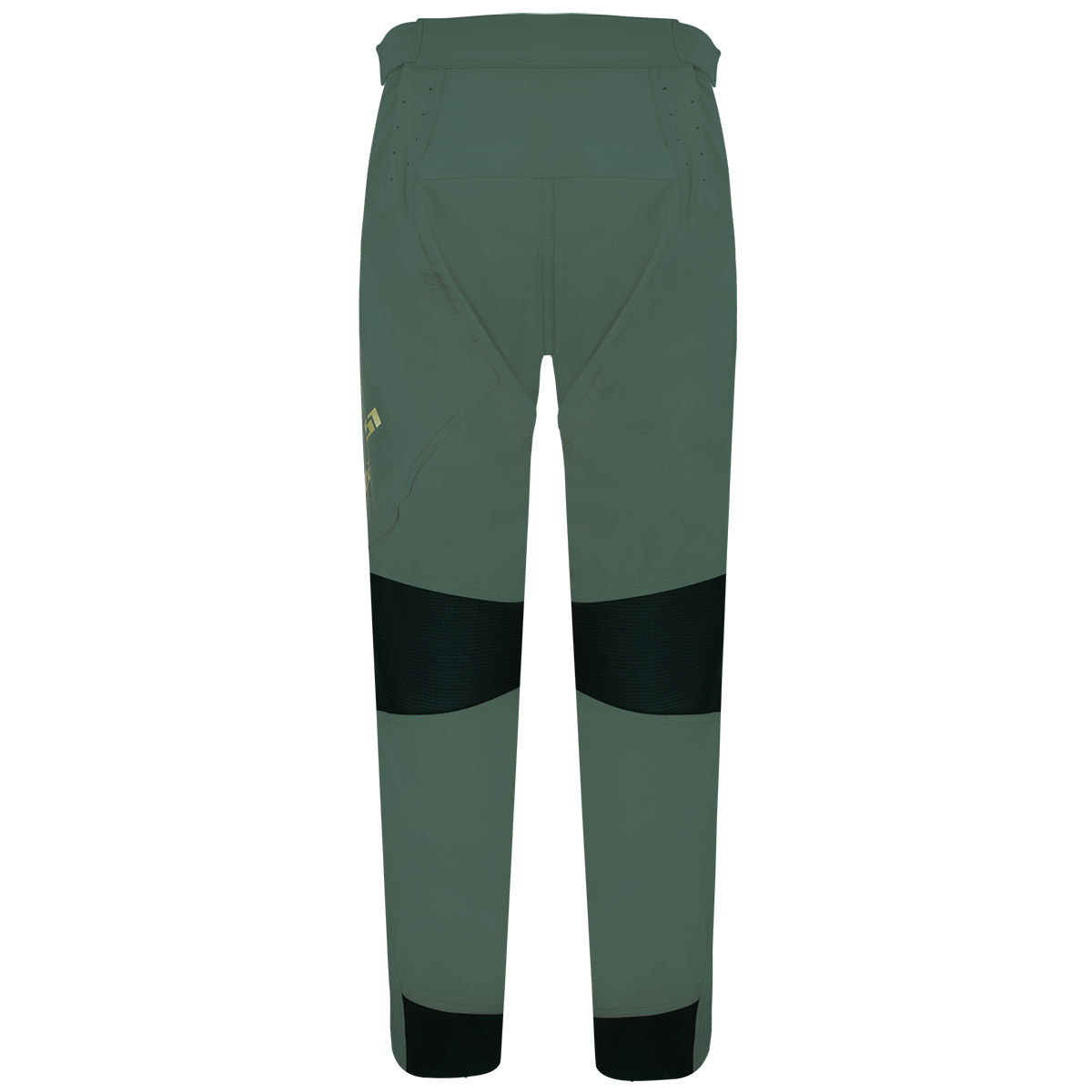 CF Tight Pants Grün