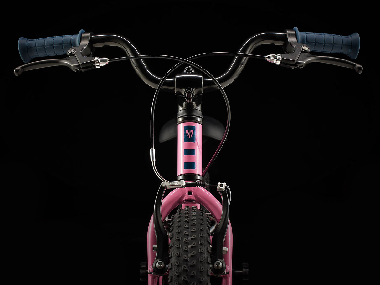 Precaliber 16 Pink Frosting