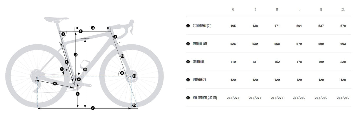 TERRA M21eTEAM 1X - Wine Red Carbon View