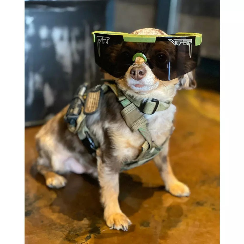 The 2000s - Ballistic - NJP