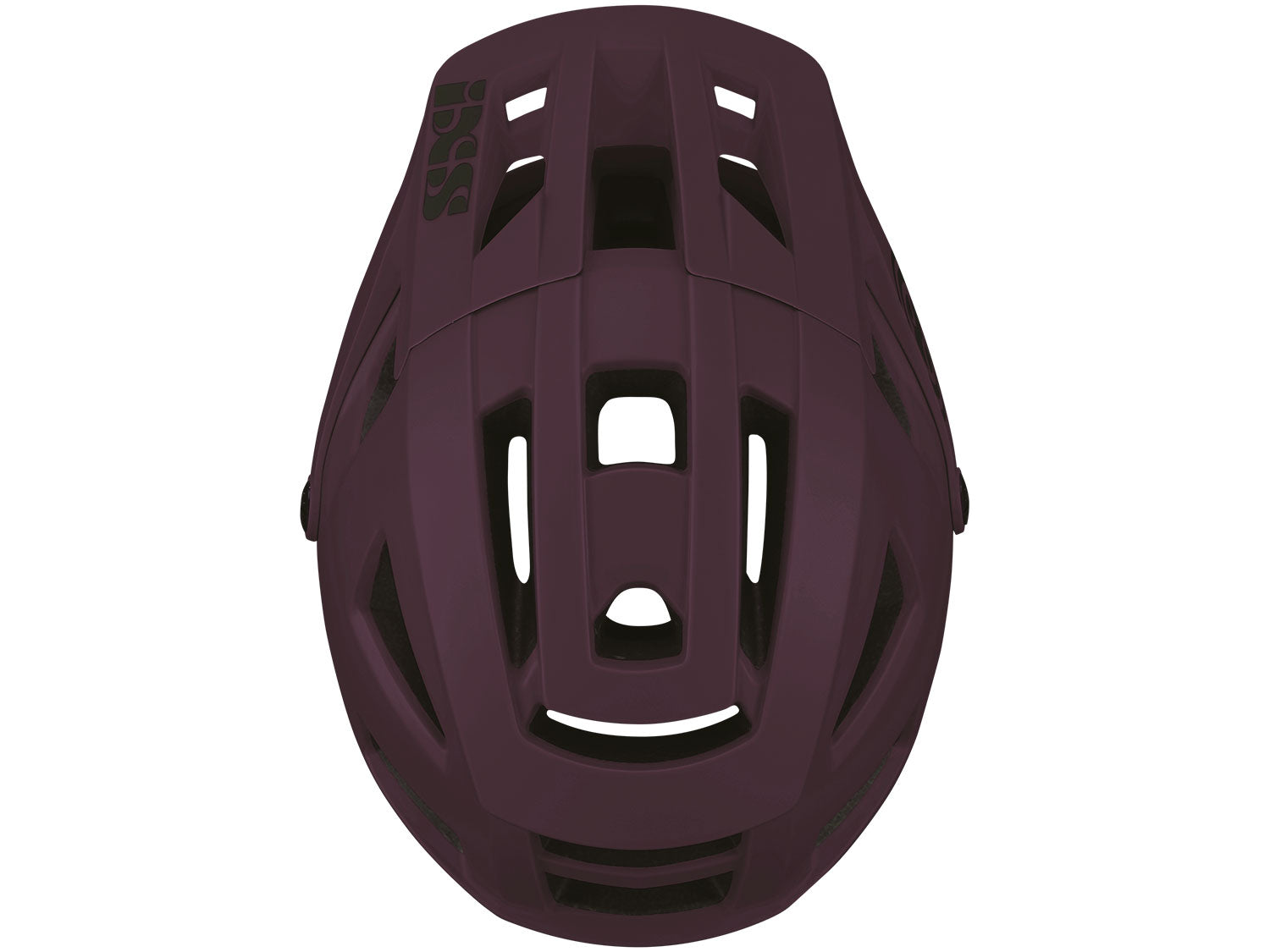 Trigger AM Helm - Raisin