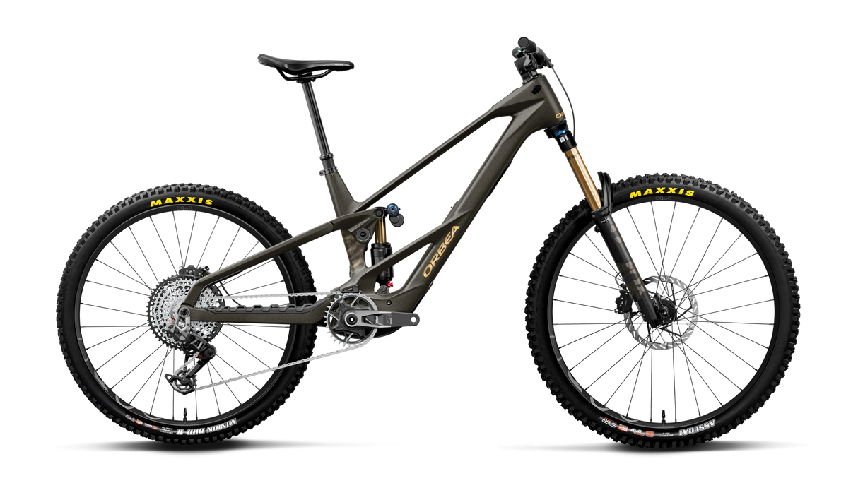 Wild LT M-Team RS Mullet - Magic Gold Carbon View (Matt)/Titan Gold (Gloss)