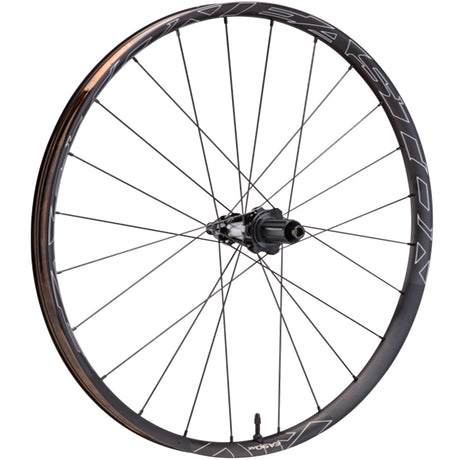 Laufrad EA90 AX Rear 700c - 12x142 - Shimano
