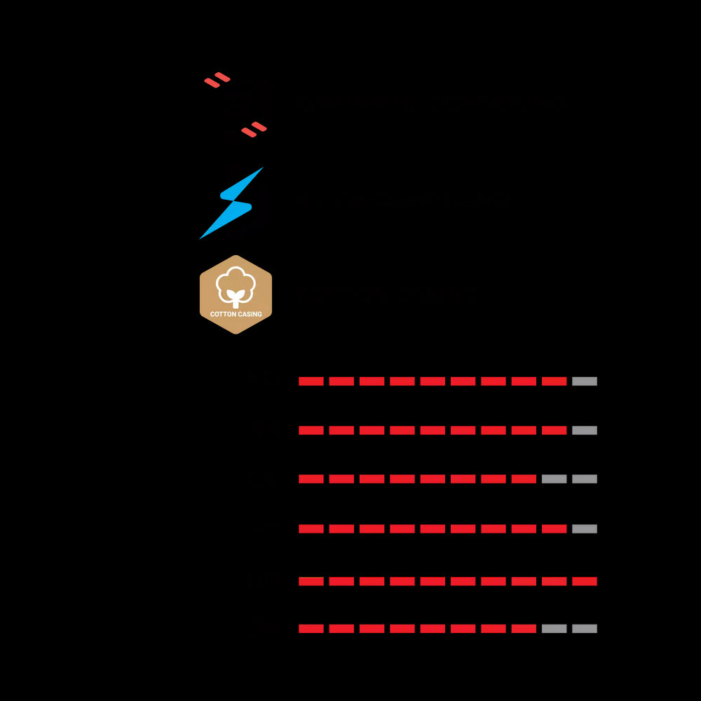 Corsa Pro 28" Faltreifen TLR - schwarz/beige