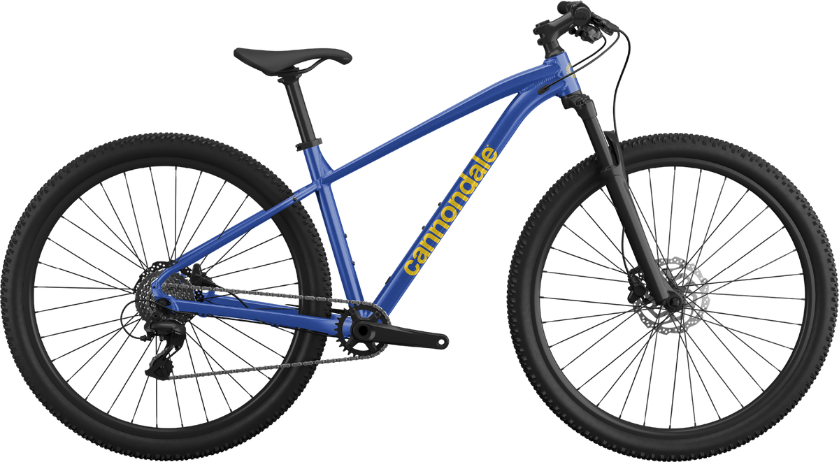 Trail 3 - Sonic Blue