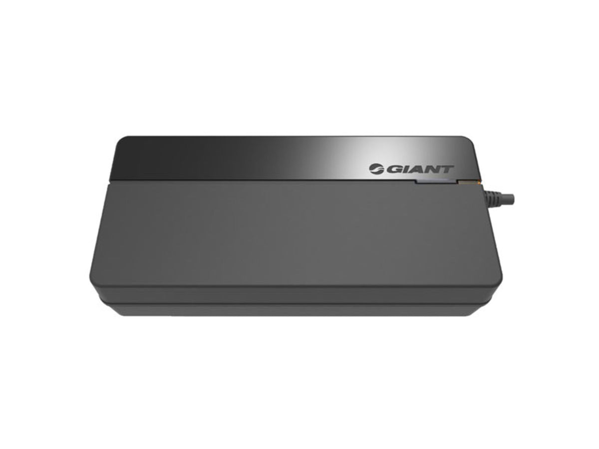 Smart Charger 100~240V L-Type Eu 6A