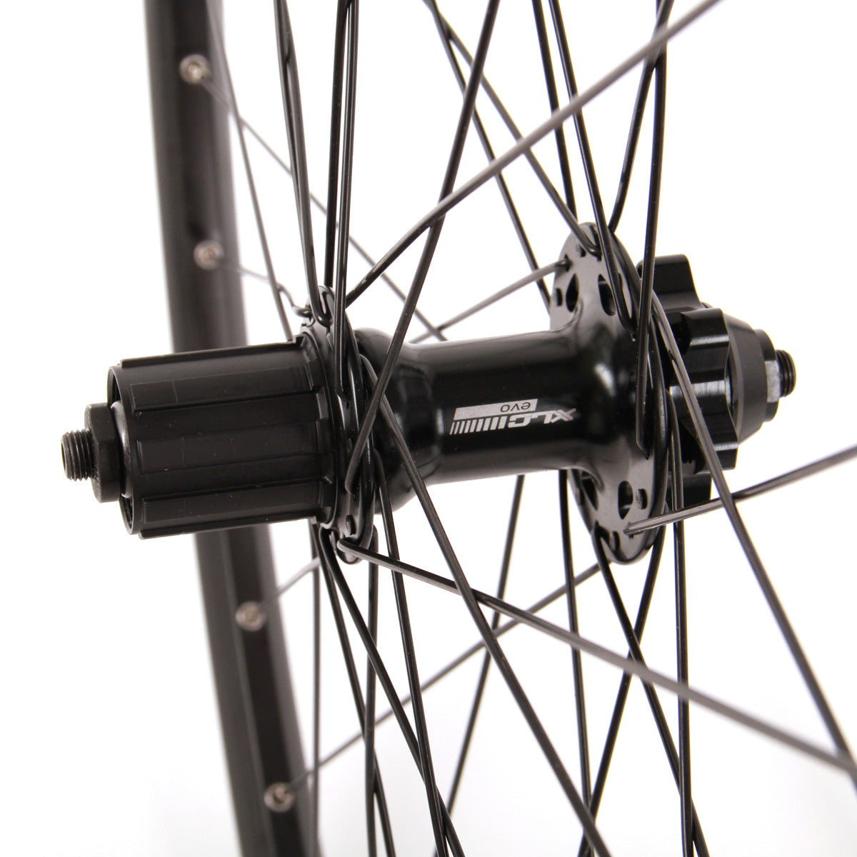 DT Swiss D466 Disc 26/27,5/29 Zoll Hinterrad