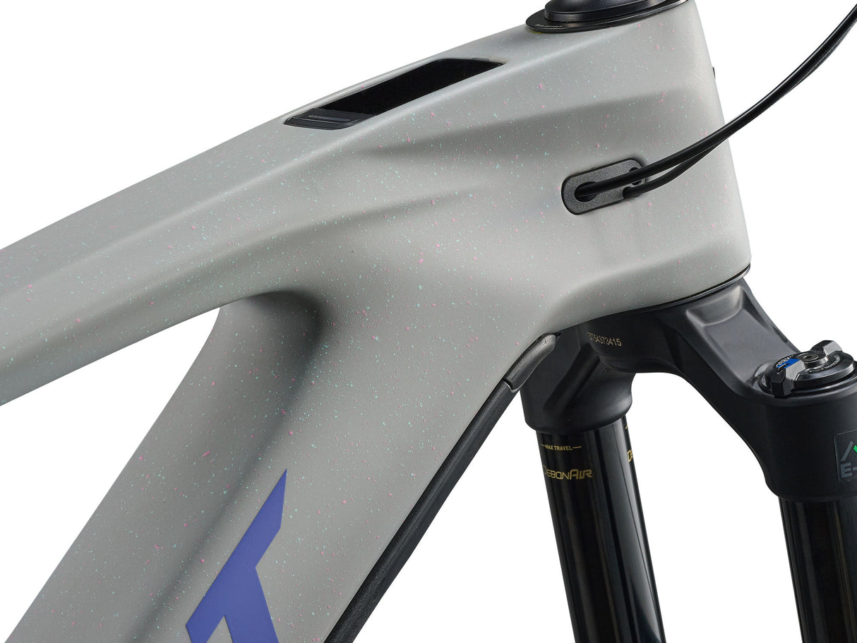 Reign Advanced E+ 2 - Moon Dust