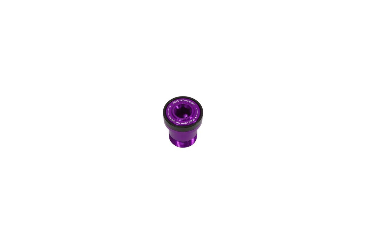 Thru Axle Bolt - Transmission - purple