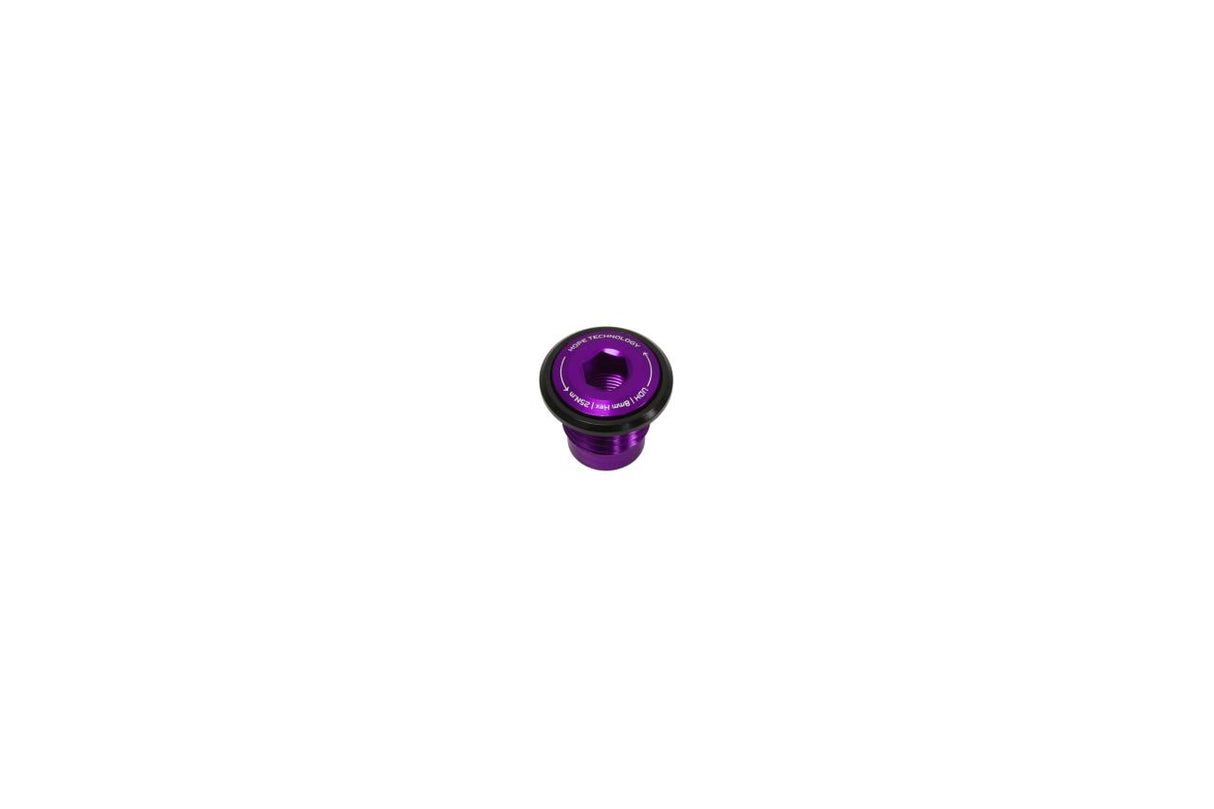 Thru Axle Bolt - UDH - purple