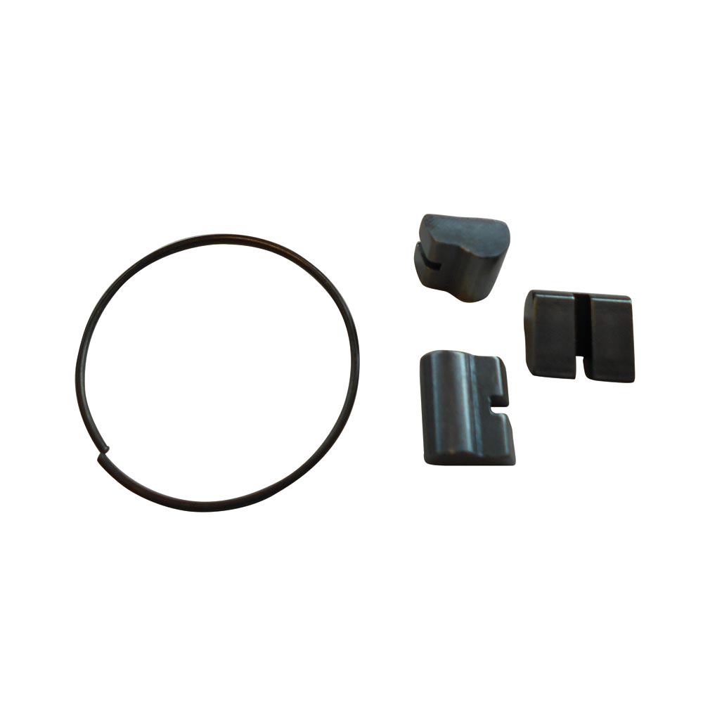 Sperrklinken für DJD Bush Drive Naben