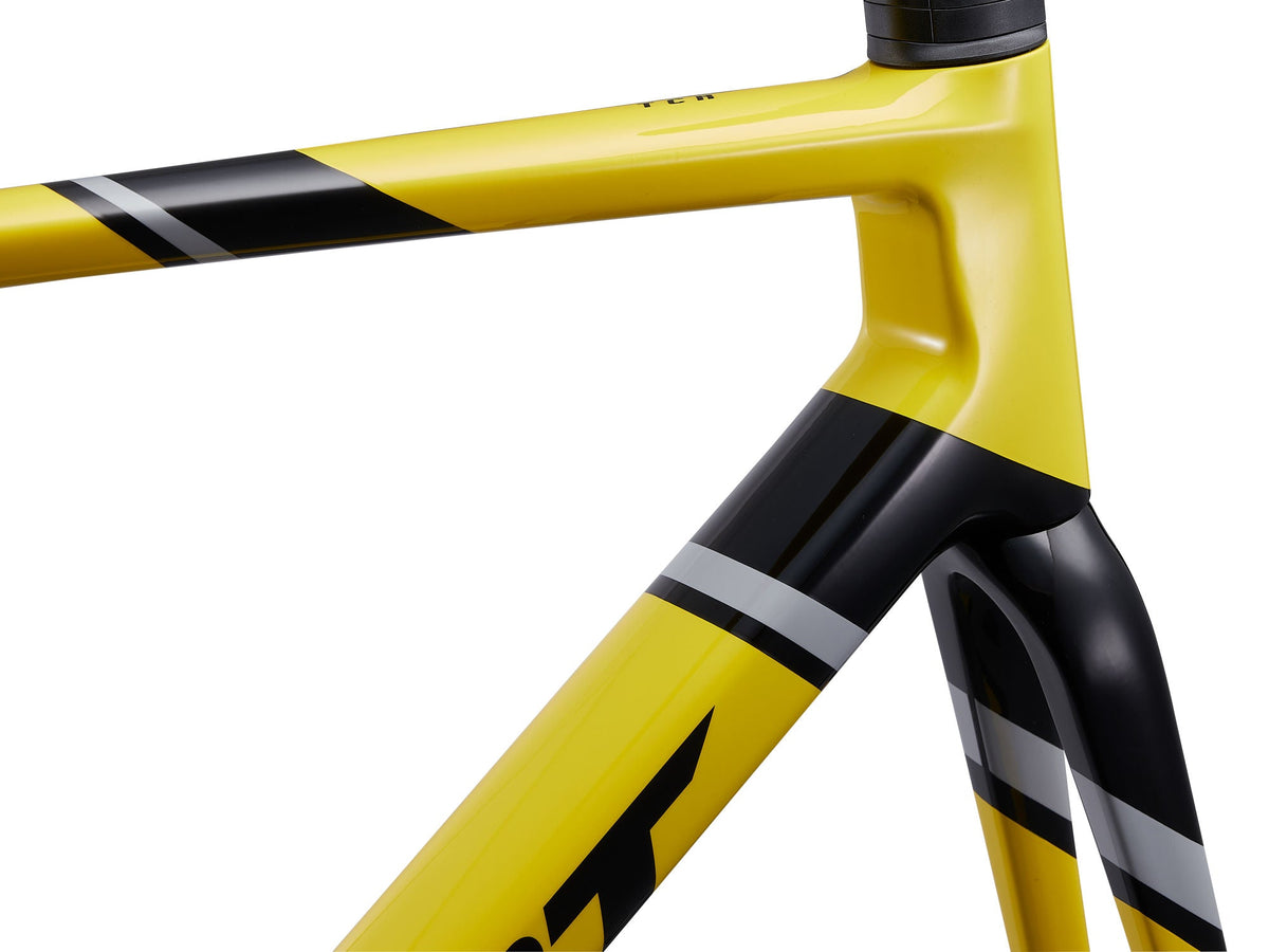 TCR Advanced SL Rahmenset - Legends Edition Giant