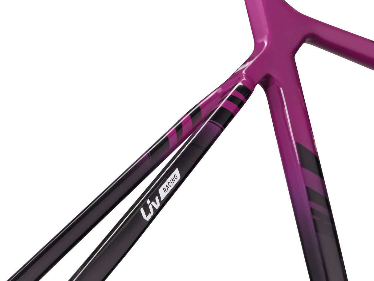 EnviLiv Advanced SL Rahmenset - Aubergine / Raw Carbon