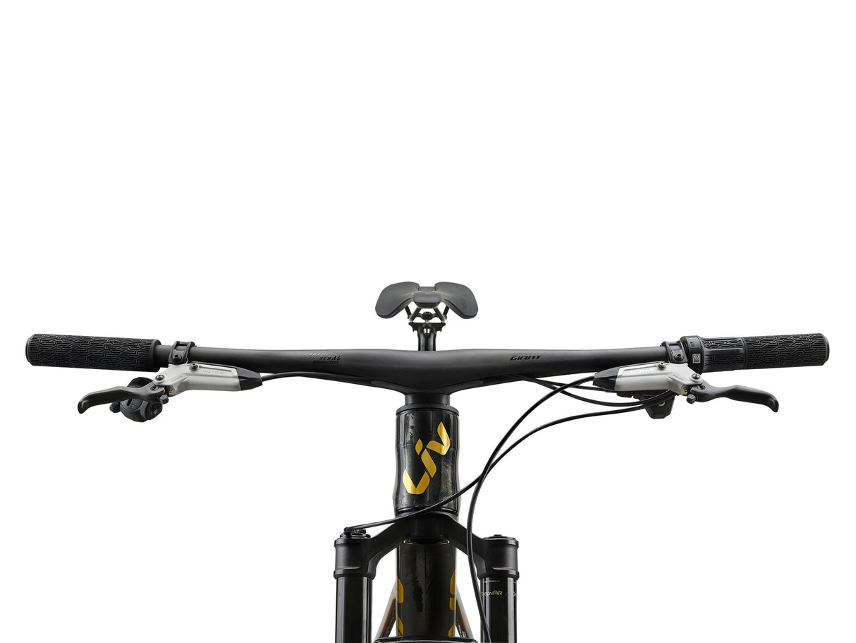 Pique Advanced SL 0 - Raw Carbon/Steampunk