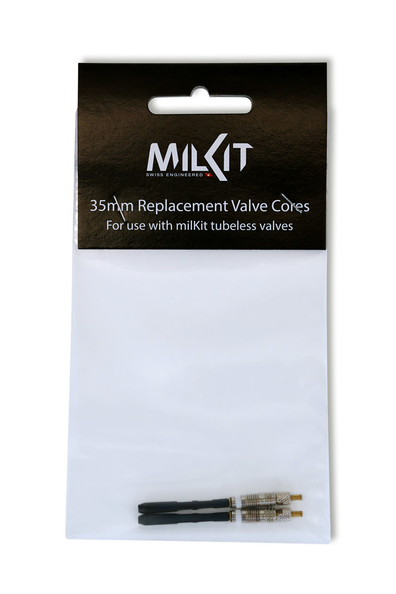 Ersatz Ventileinsatz