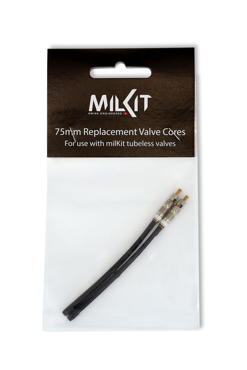 Ersatz Ventileinsatz