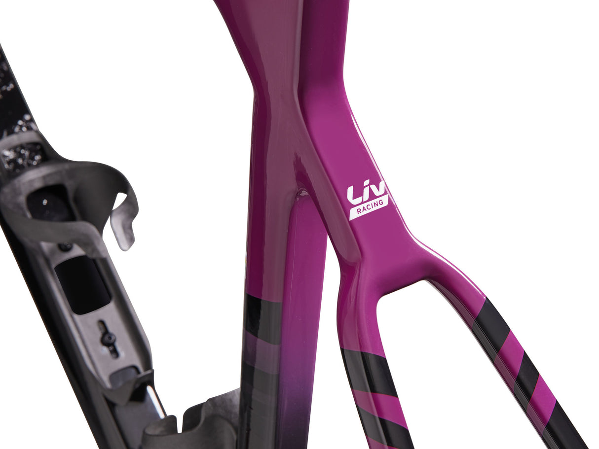 EnviLiv Advanced SL Rahmenset - Aubergine / Raw Carbon