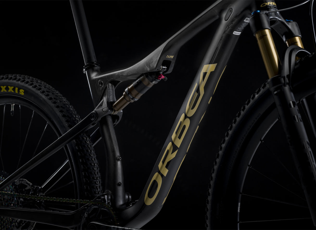 OIZ M LTD - Carbon Raw-Metallic Gold (matt)