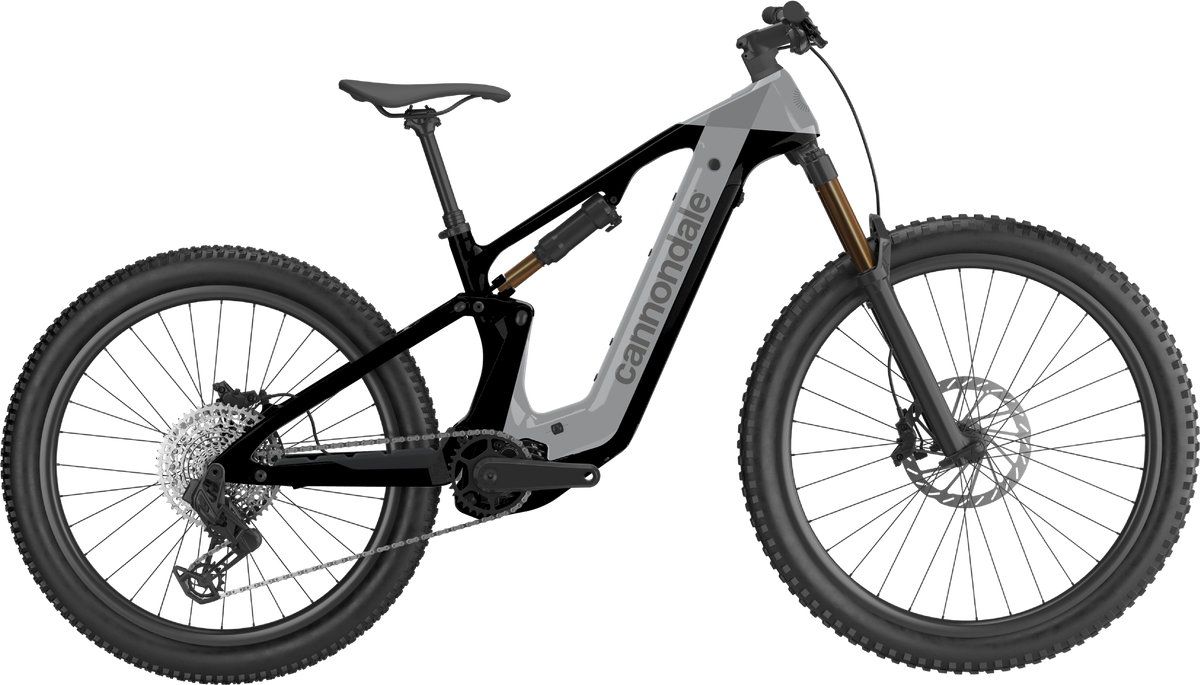 Moterra 1 - Tiger Shark